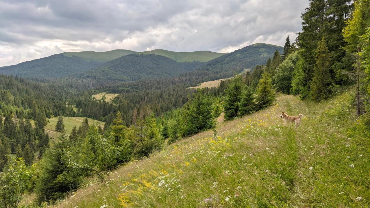 Zatishok Bilya Richky Villa Pilipets Buitenkant foto