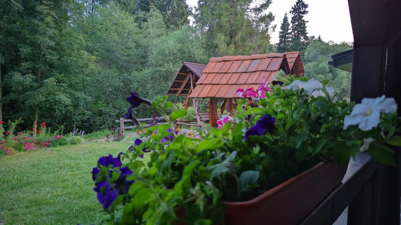 Zatishok Bilya Richky Villa Pilipets Buitenkant foto