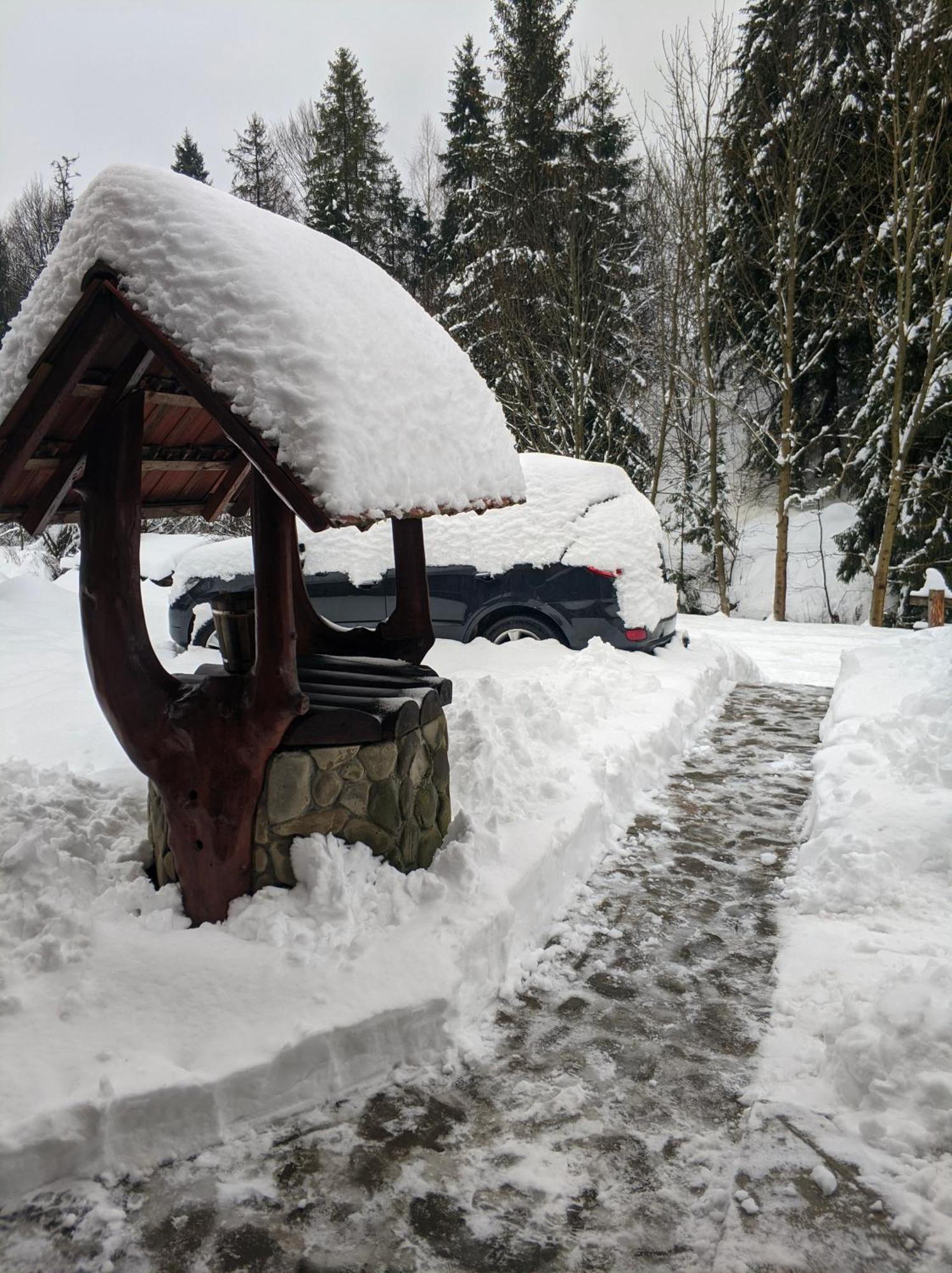 Zatishok Bilya Richky Villa Pilipets Buitenkant foto